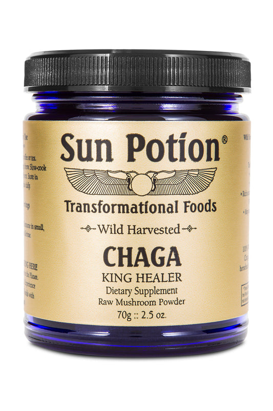 Chaga Mushroom Powder (Wildcrafted) - Concordia Style Boutique