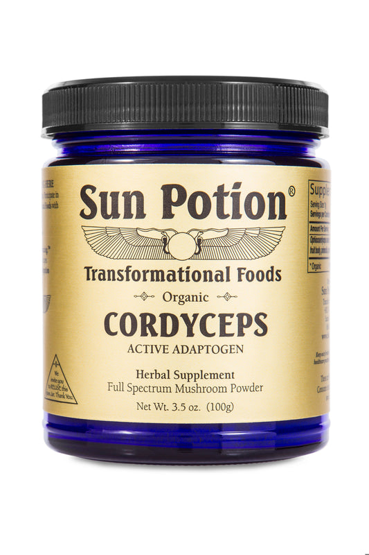 Cordyceps Mushroom Powder (Organic) - Concordia Style Boutique
