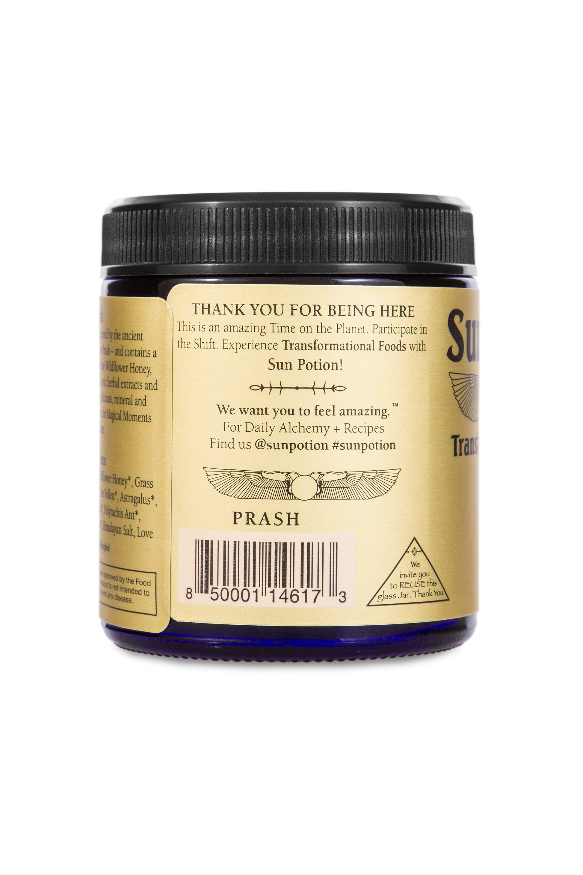 Prash - Tonic Ambrosia - Concordia Style Boutique
