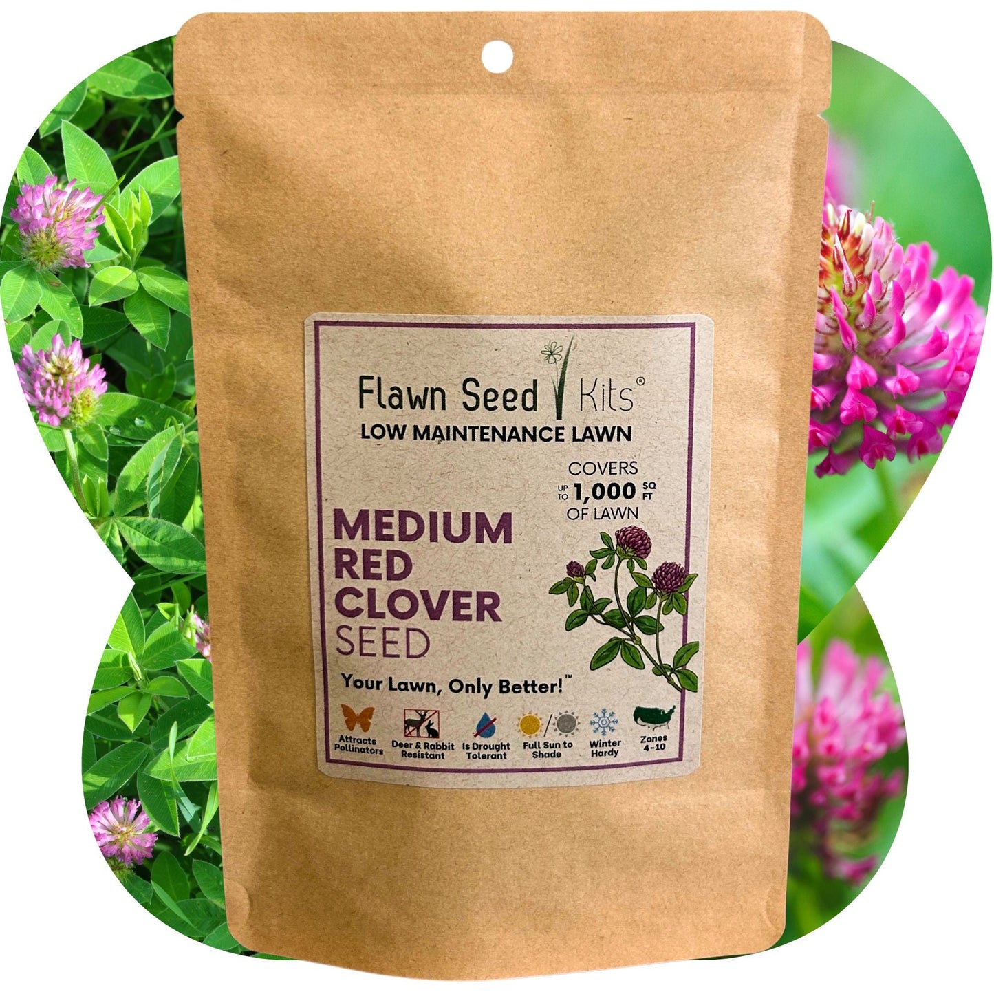 Medium Red Clover Seed - Concordia Style Boutique