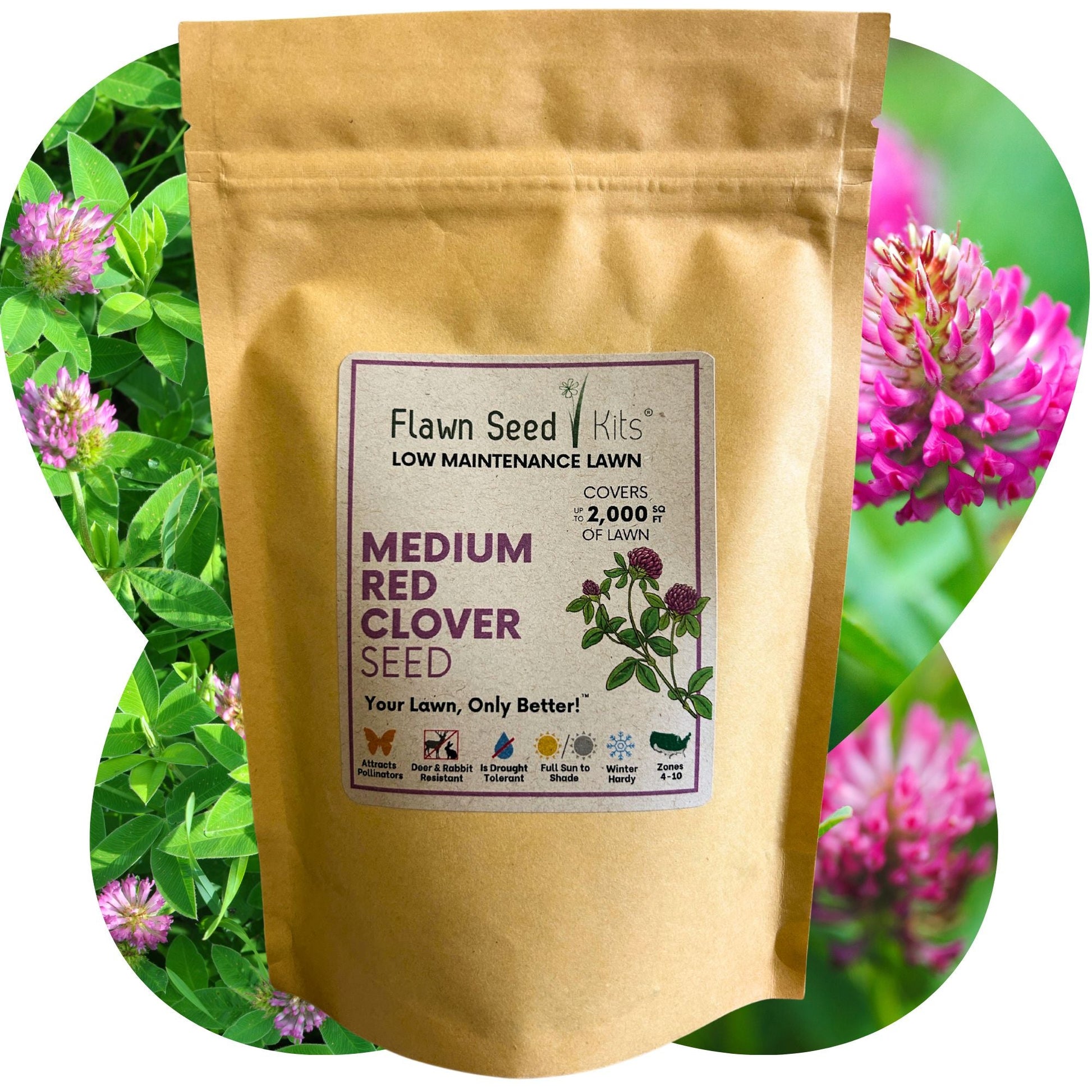 Medium Red Clover Seed - Concordia Style Boutique