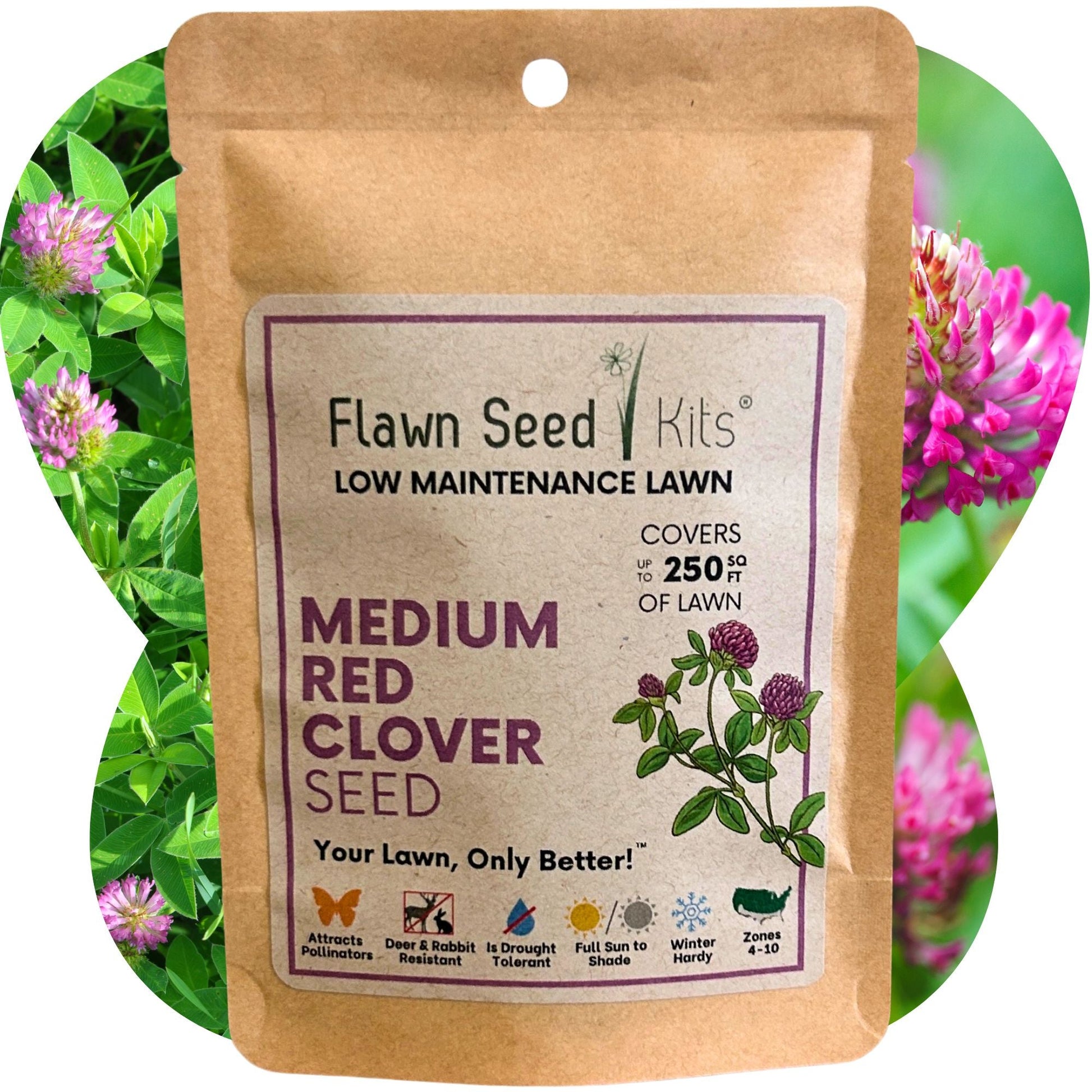 Medium Red Clover Seed - Concordia Style Boutique