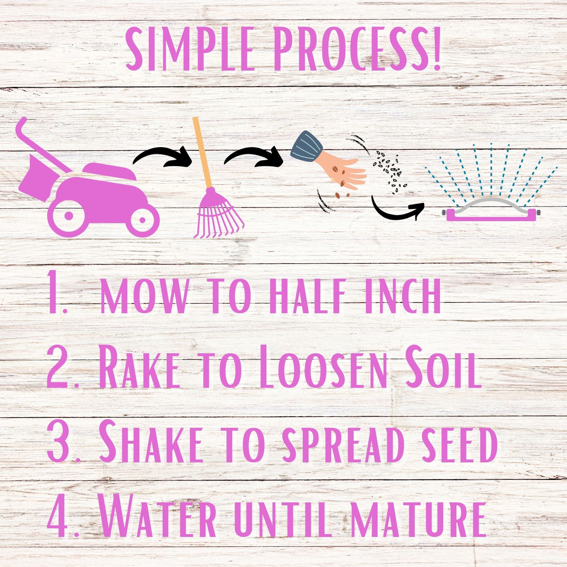 Medium Red Clover Seed - Concordia Style Boutique