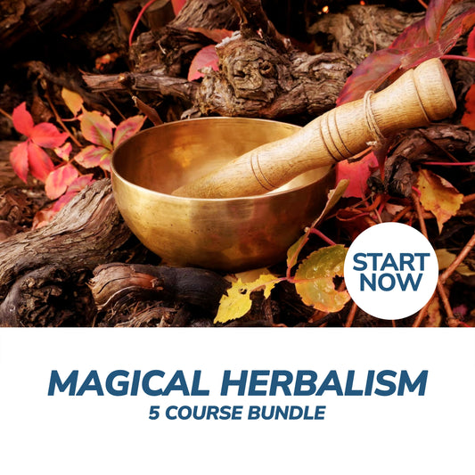 Magical Herbalism Online Bundle, 5 Certificate Courses - Premium Magical Herbalism from Courses For Success - Just $449! Shop now at Concordia Style Boutique