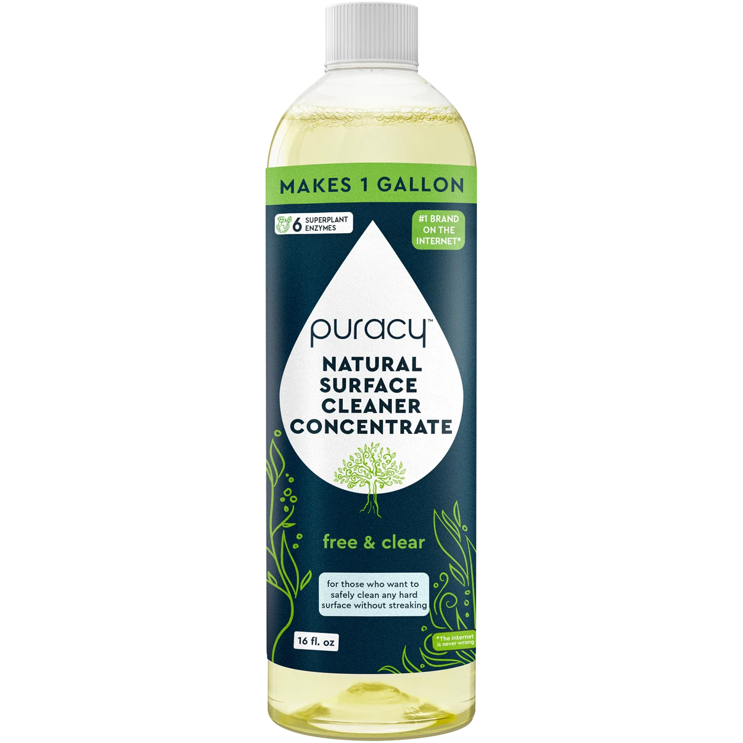 Everyday Multi-Surface Cleaner - Concordia Style Boutique