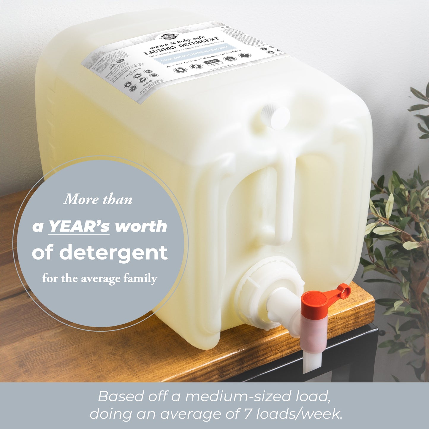 Laundry Detergent | Mama + Baby Safe - Concordia Style Boutique