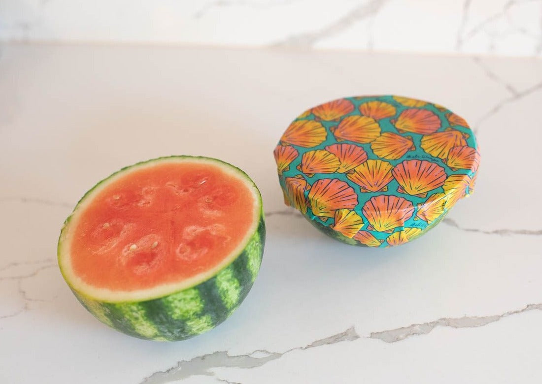 Beeswax Food Wrap - Sunrise Shell Print - Concordia Style Boutique