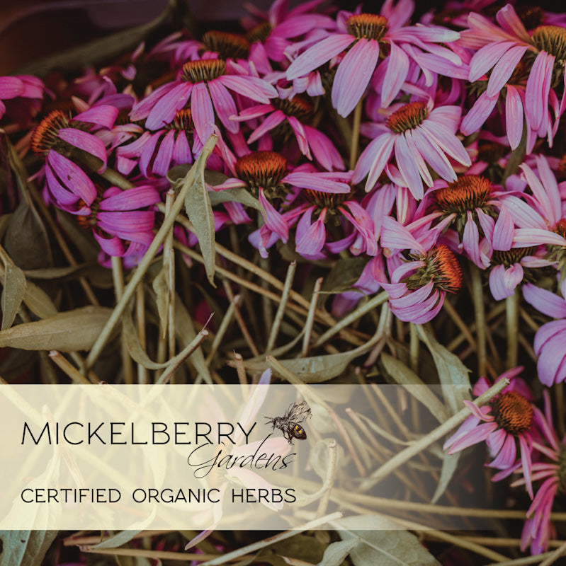 Honey Propolis Throat Spray - Premium Honey Tonic from Mickelberry Gardens - Just $11.19! Shop now at Concordia Style Boutique