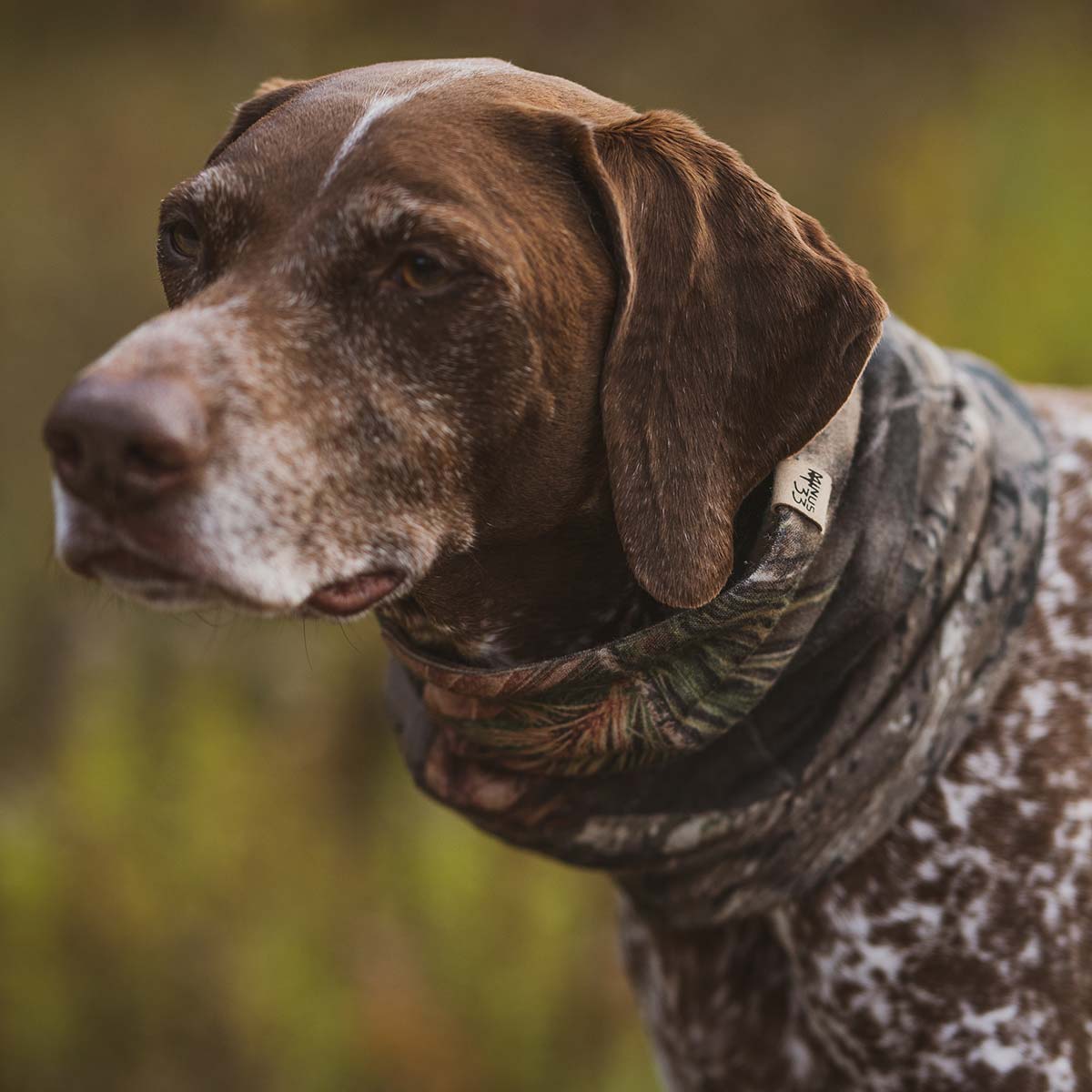 Midweight - Neck Gaiter 100% Merino Wool - Concordia Style Boutique