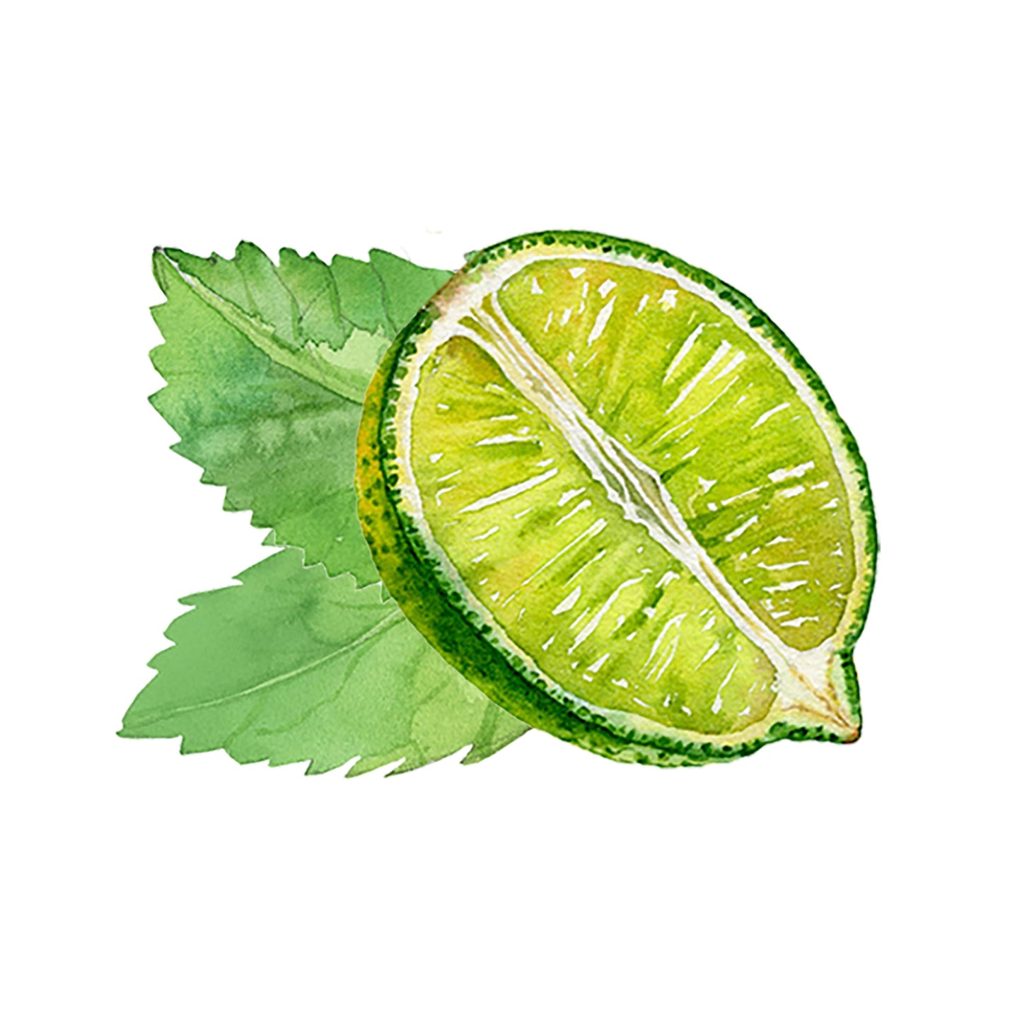 Mint & Lime Essential Oil Blend - Concordia Style Boutique