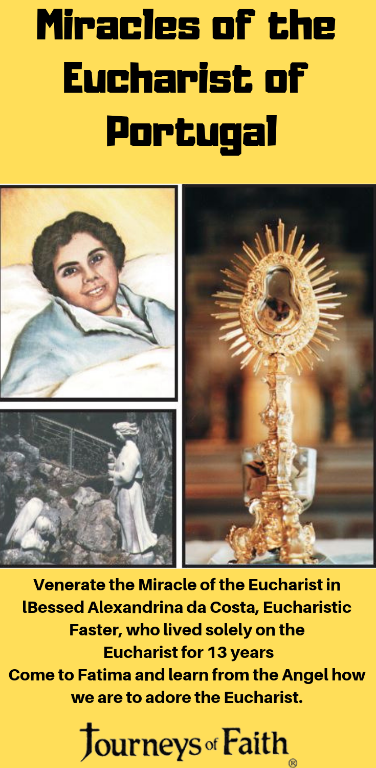 Miracles of the Eucharist Best Seller Books I and II and DVD Free Shipping