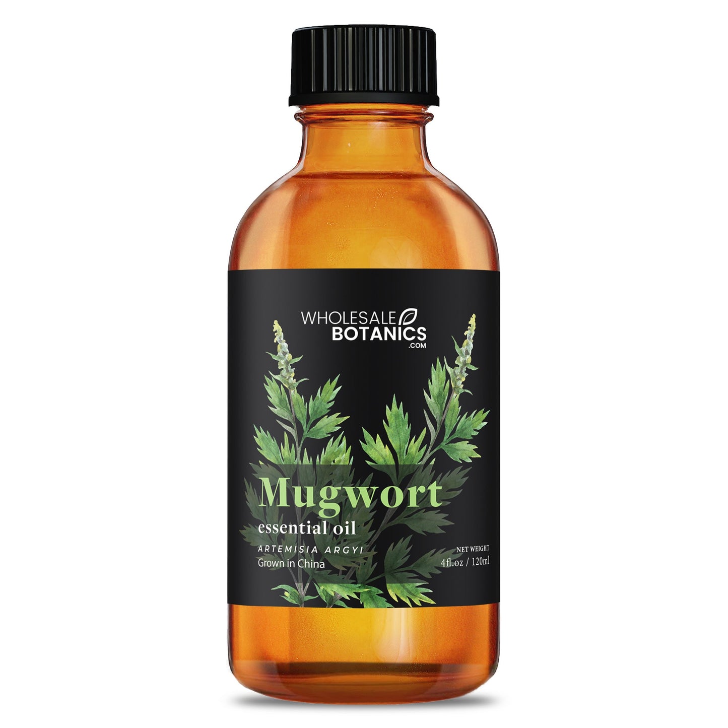 Mugwort Essential Oil