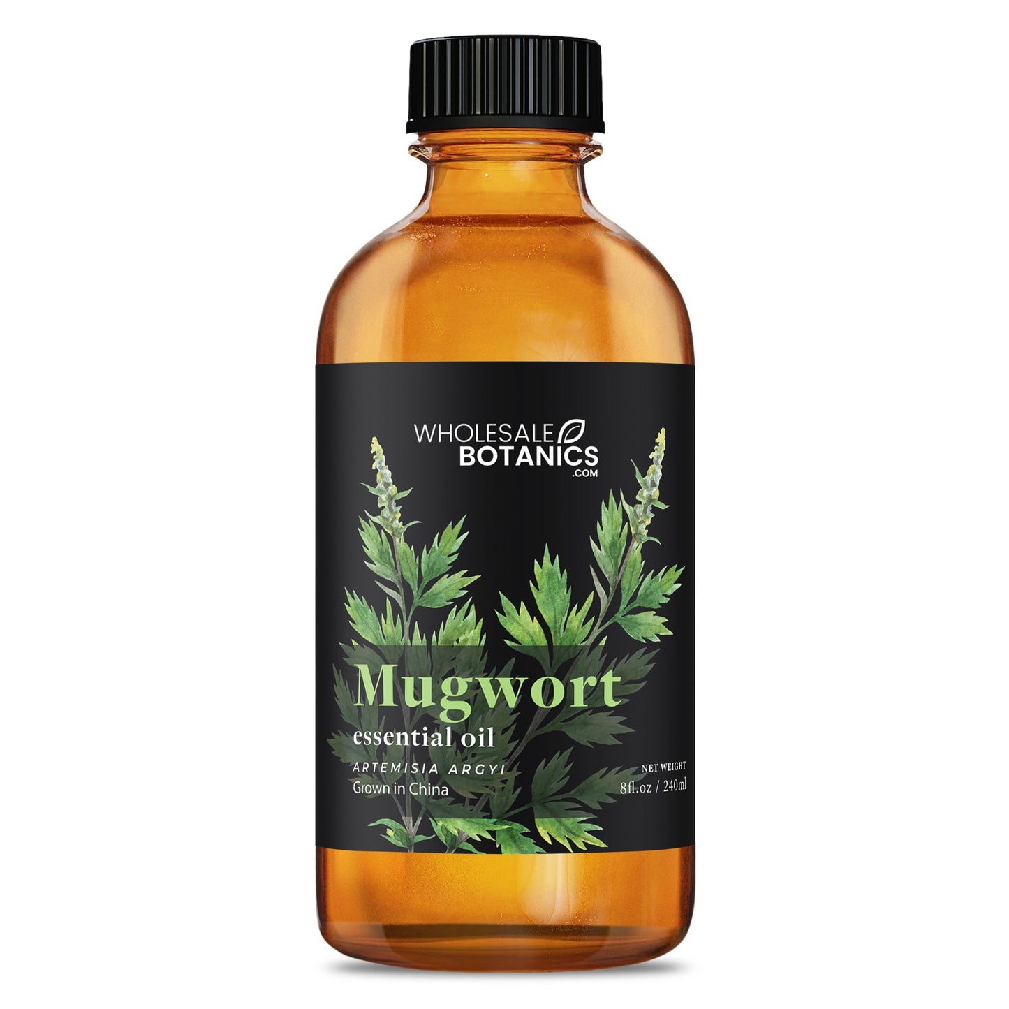 Mugwort Essential Oil