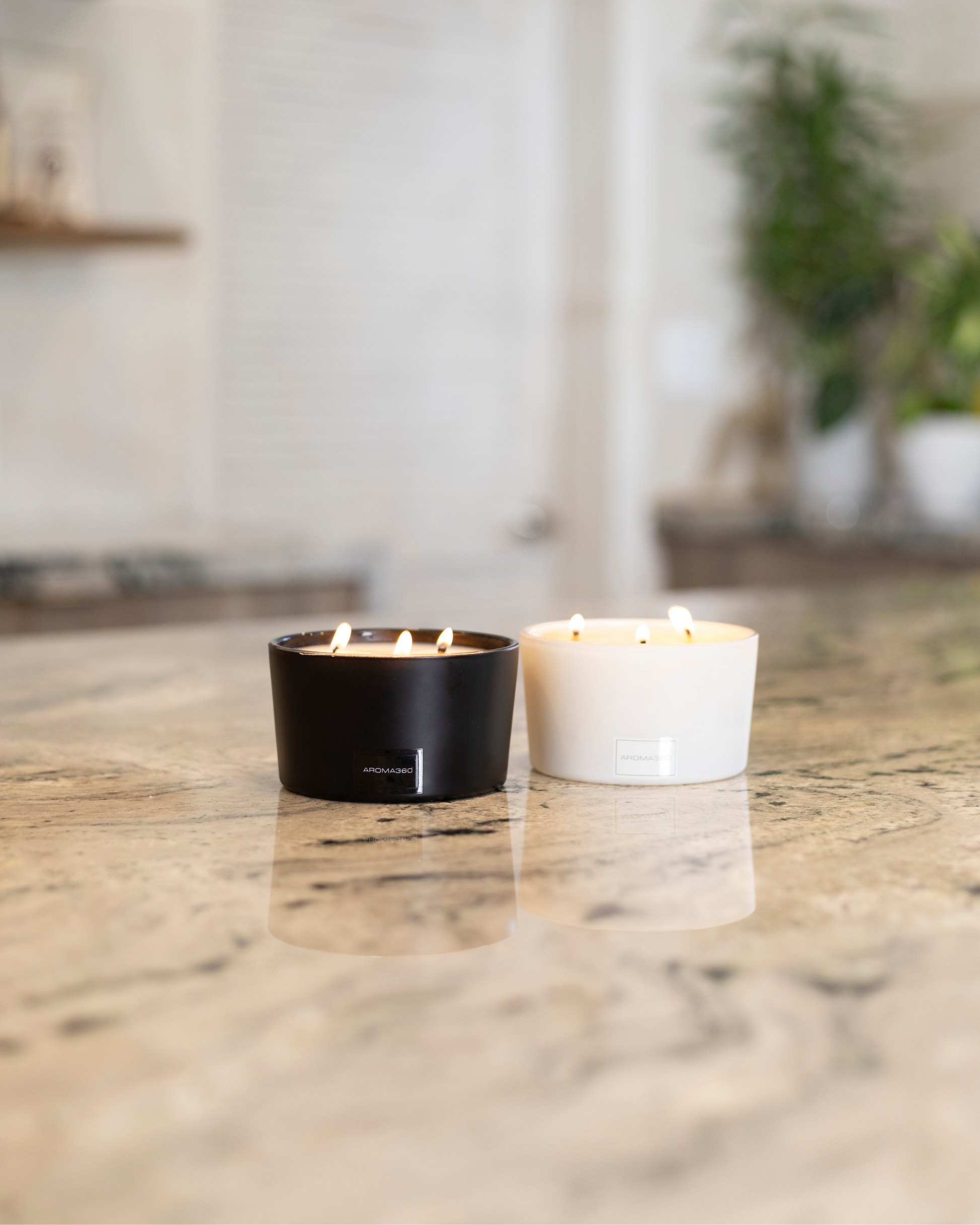 My Way 3-Wick Candle - Premium Candle from Aroma360 - Just $59.96! Shop now at Concordia Style Boutique