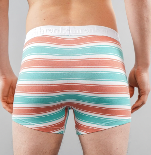 Newman Boxer Brief | Coral & Green Stripe - Concordia Style Boutique