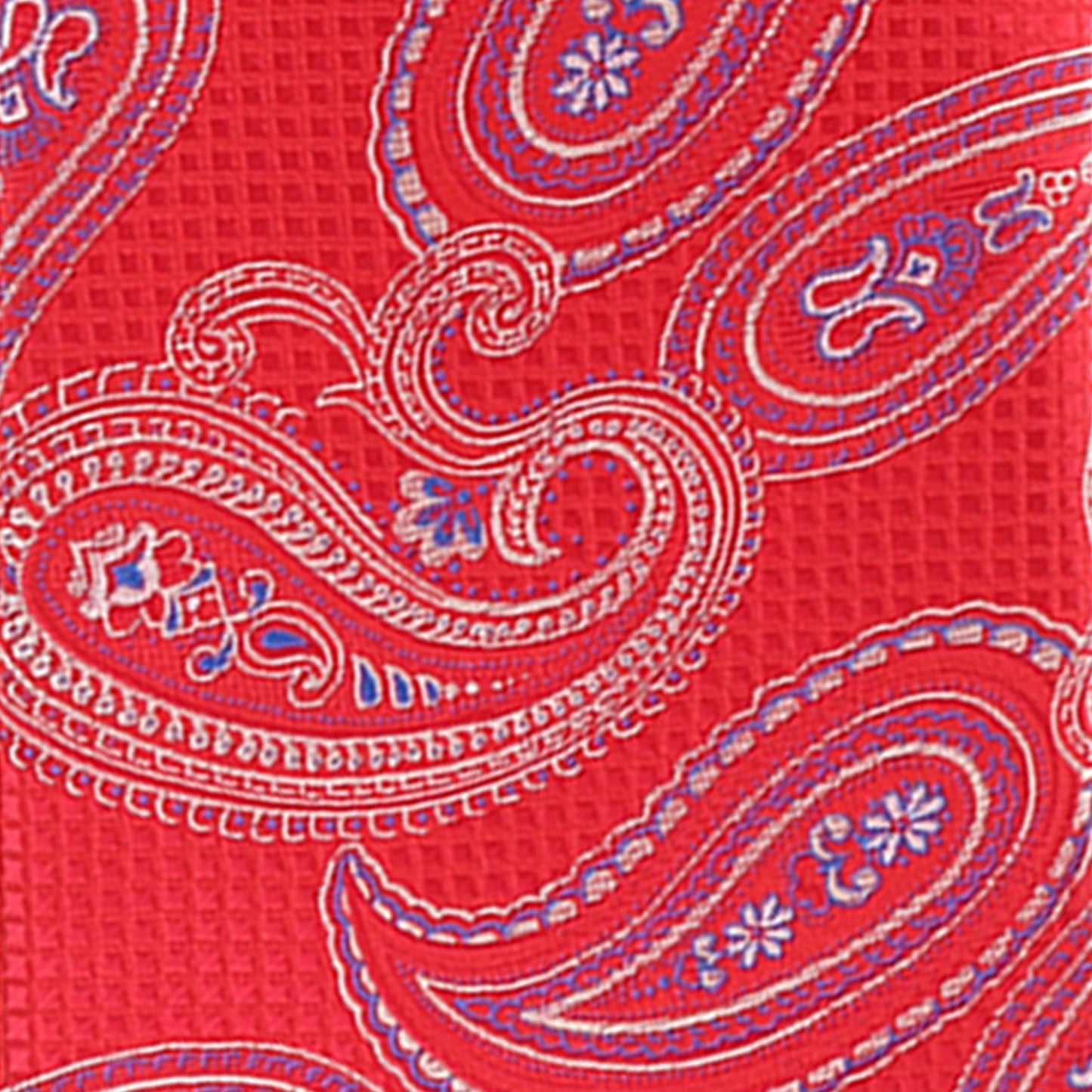 Vittorio Farina Men's Paisley Design Necktie & Pocket Square