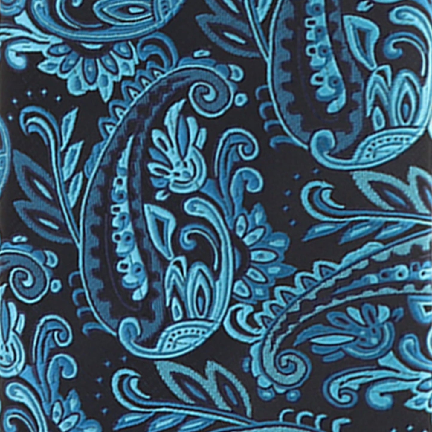 Vittorio Farina Men's Paisley Design Necktie & Pocket Square