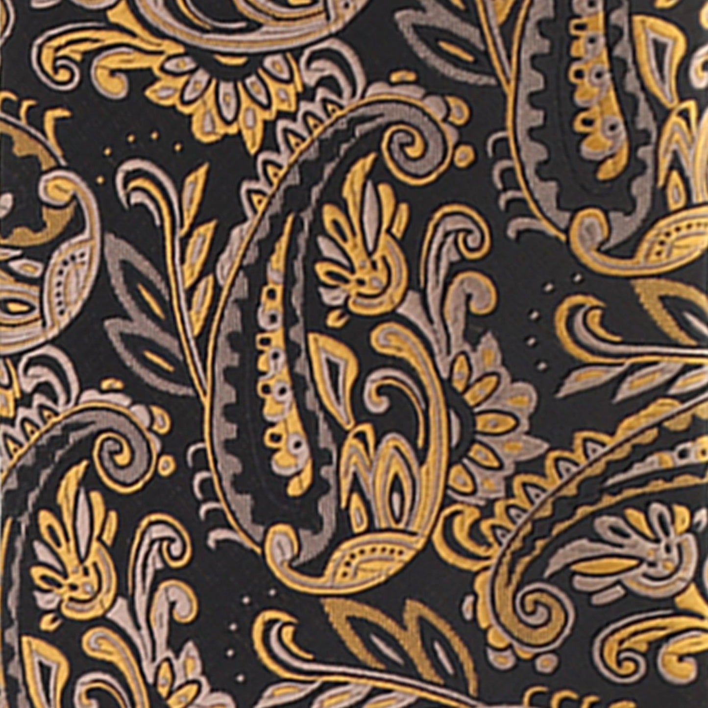 Vittorio Farina Men's Paisley Design Necktie & Pocket Square