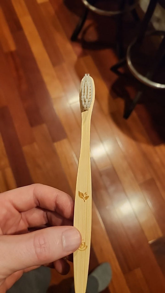 Bamboo Toothbrush w/ Case