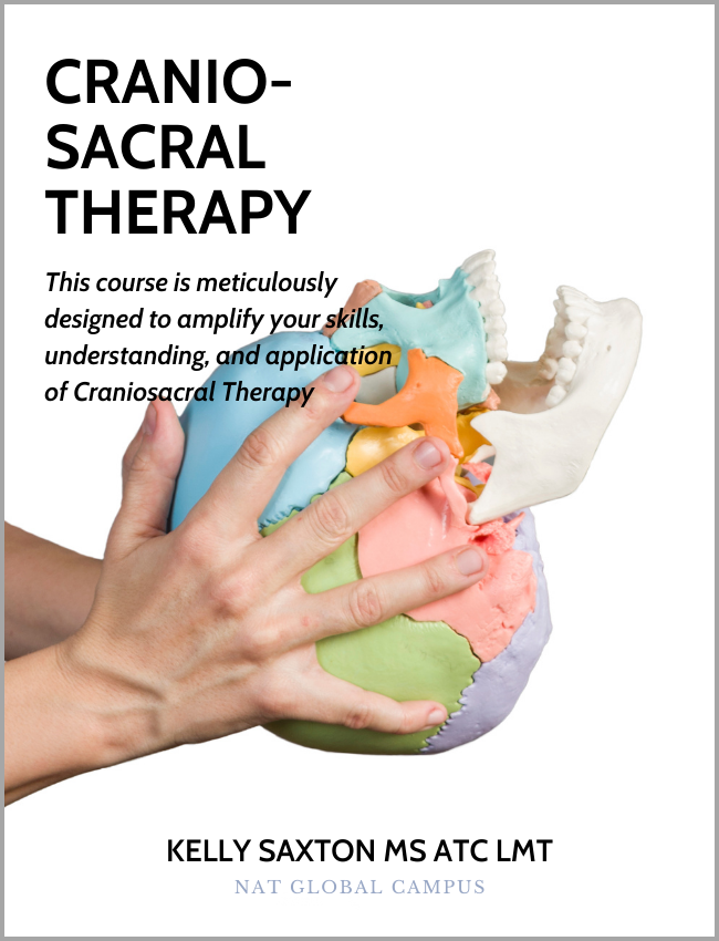 Integrative Cranio-Sacral Therapy (5.5 hrs) - Concordia Style Boutique