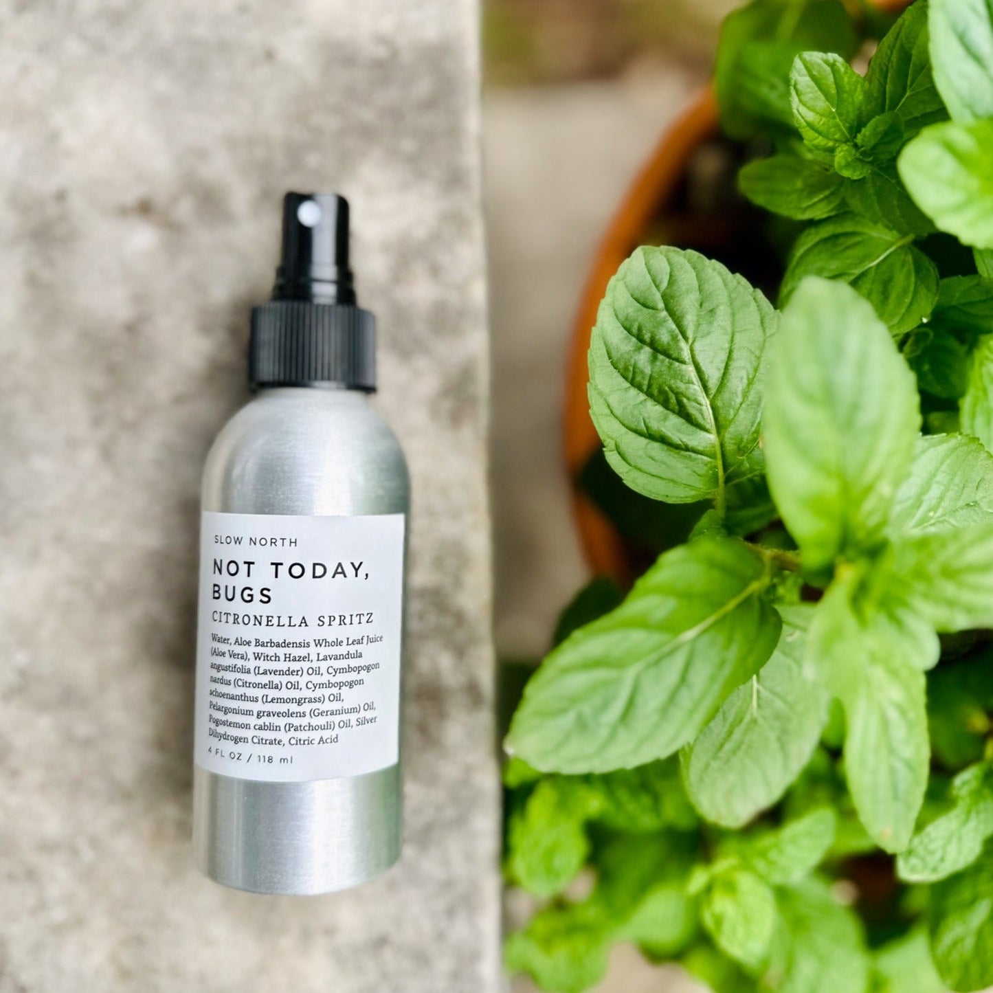 Not Today, Bugs - Bug Spray - Concordia Style Boutique