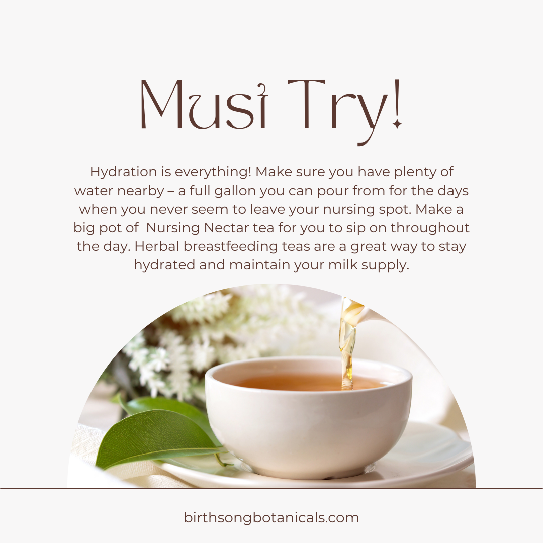 Nursing Nectar Herbal Breastfeeding Tea For Healthy Lactation and Breastmilk Supply* for Postpartum, Breastfeeding and Pumping 4 oz. - Concordia Style Boutique