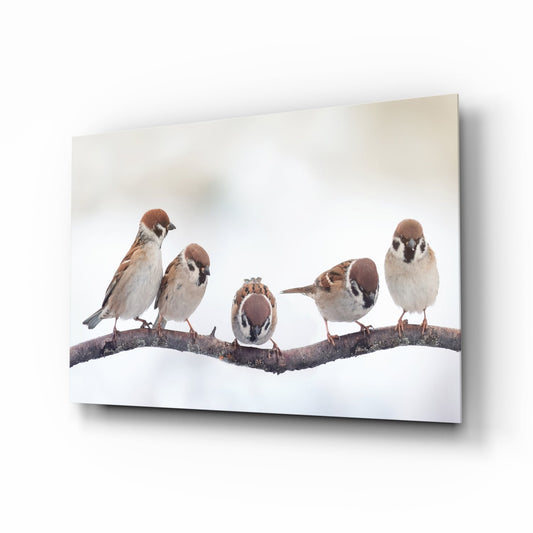 Birds Glass Wall Art