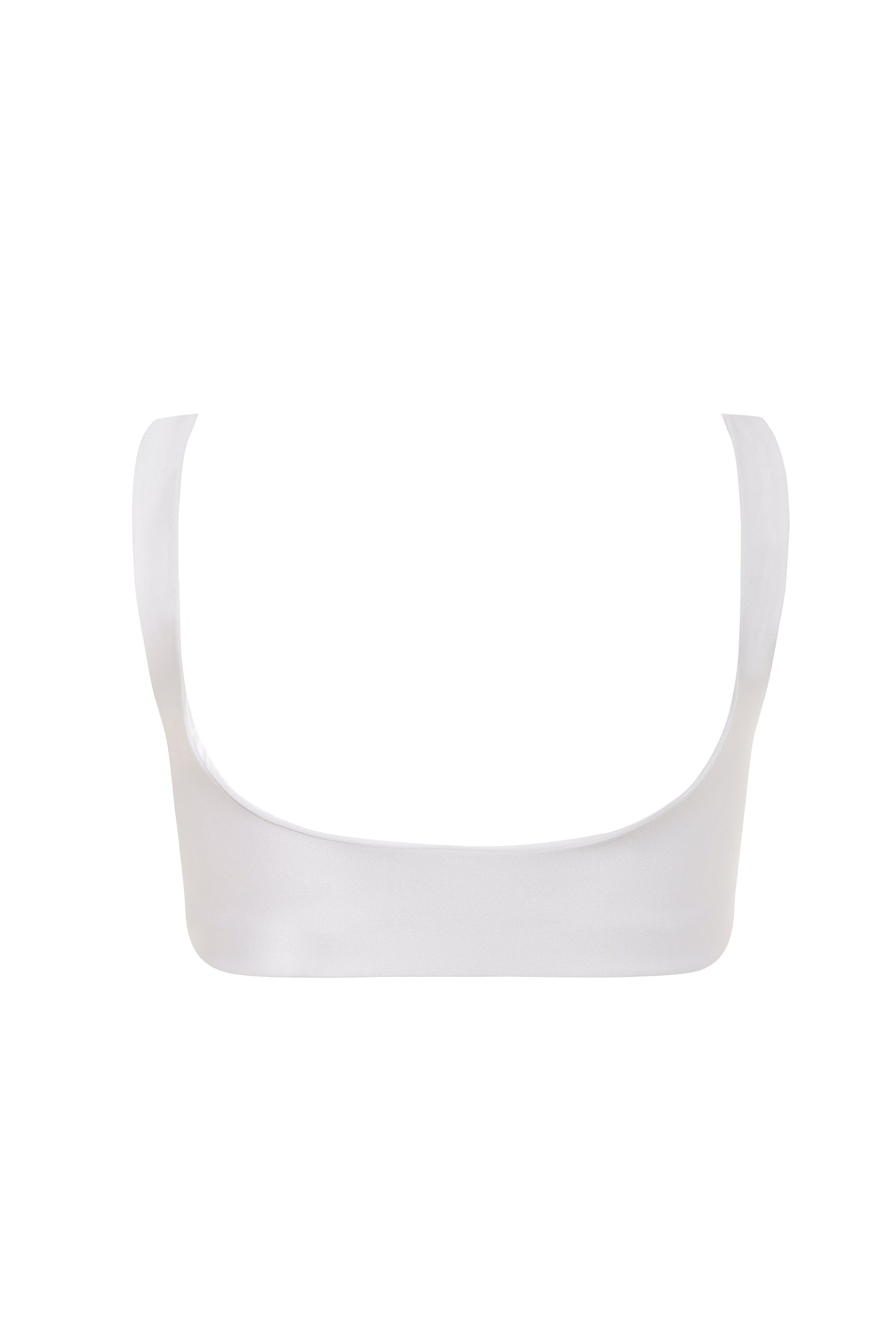 Orchids of Biscayne Top