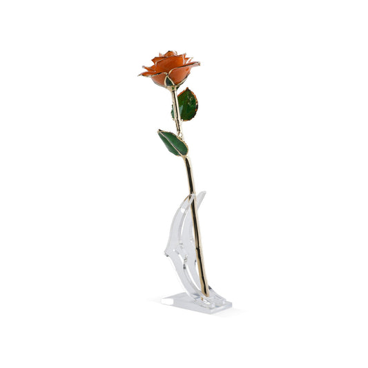 Timeless Rose (Orange) - Concordia Style Boutique