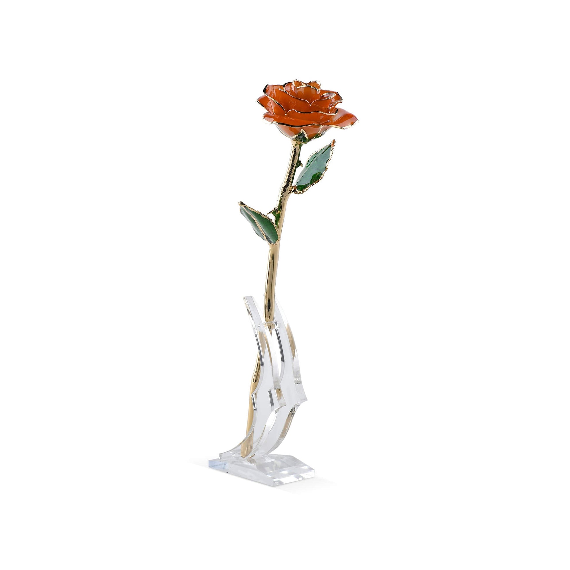 Timeless Rose (Orange) - Concordia Style Boutique