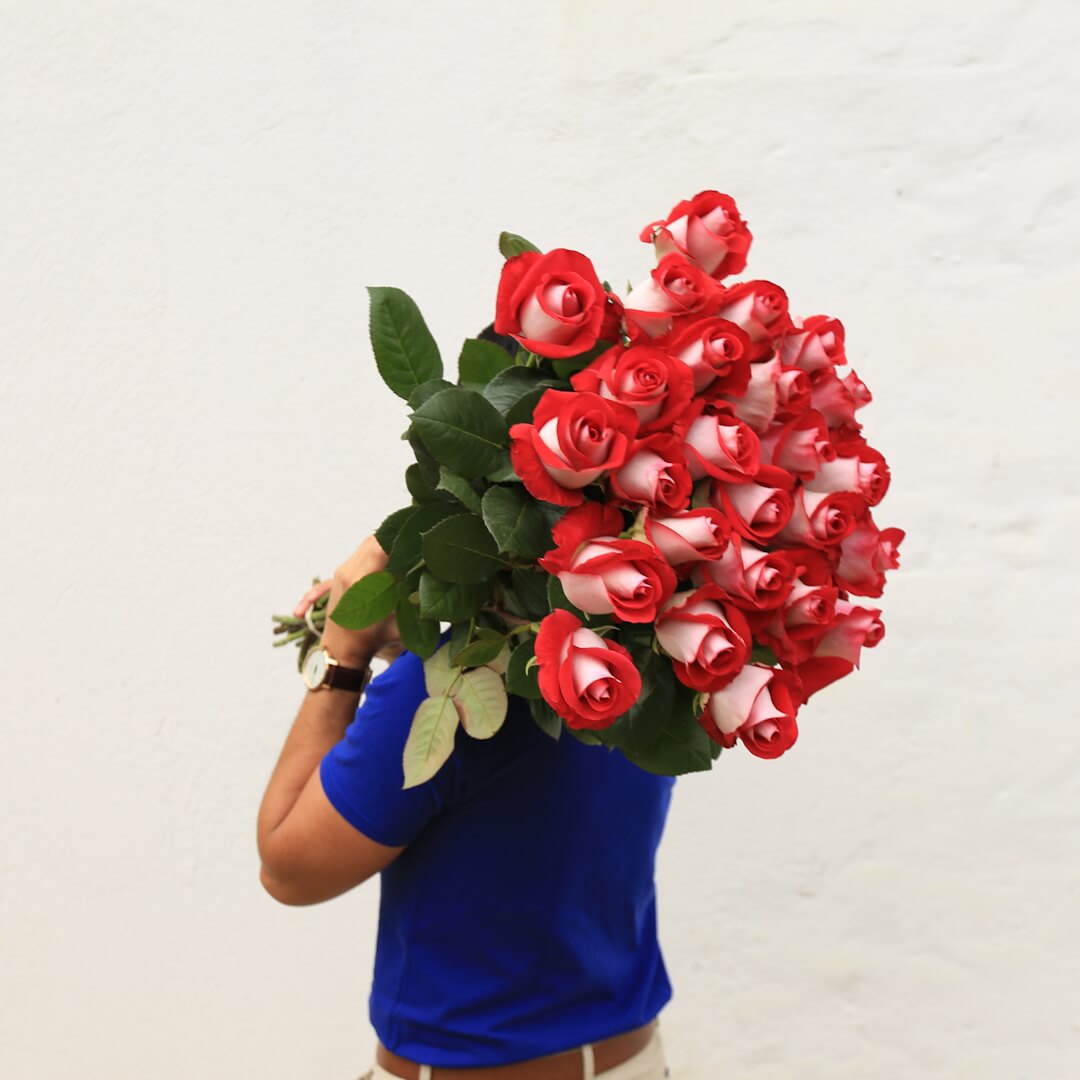LONG ROSES