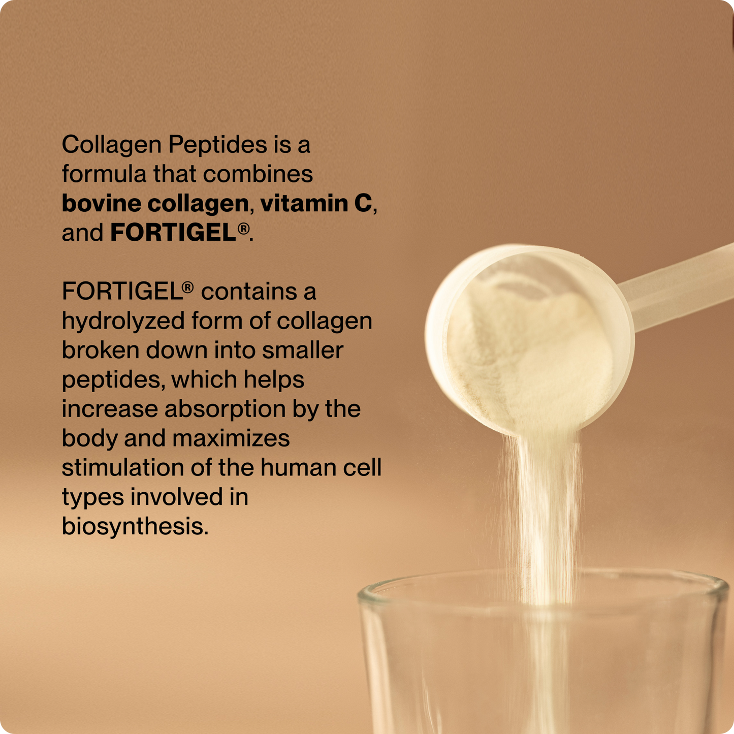 Collagen Peptides - Concordia Style Boutique