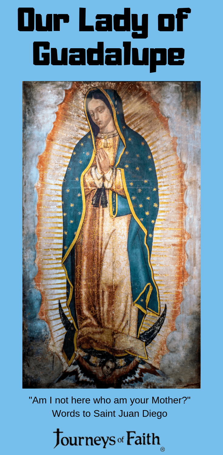 Many Faces of Mary Books 1 and 2 and The Rosary, The LIfe of Jesus and Mary  Books Classic Free Shipping
