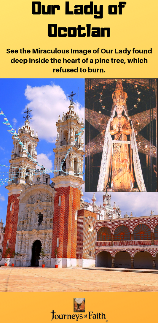 Our Lady of Ocotlan Minibook