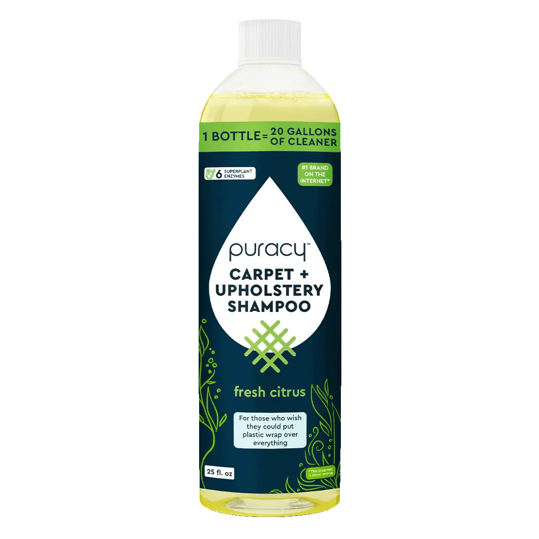 Carpet & Upholstery Shampoo - Concordia Style Boutique