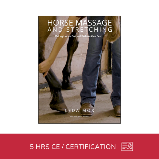 Equine Massage - Horse Massage and Stretching (5 hrs) - Concordia Style Boutique