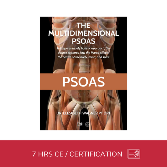 The Vital Psoas (7 hrs) - Concordia Style Boutique