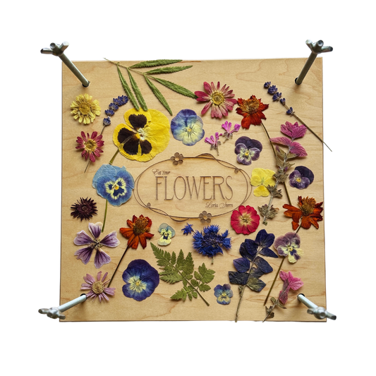 Loria's Maple Wood Botanical Press Kit