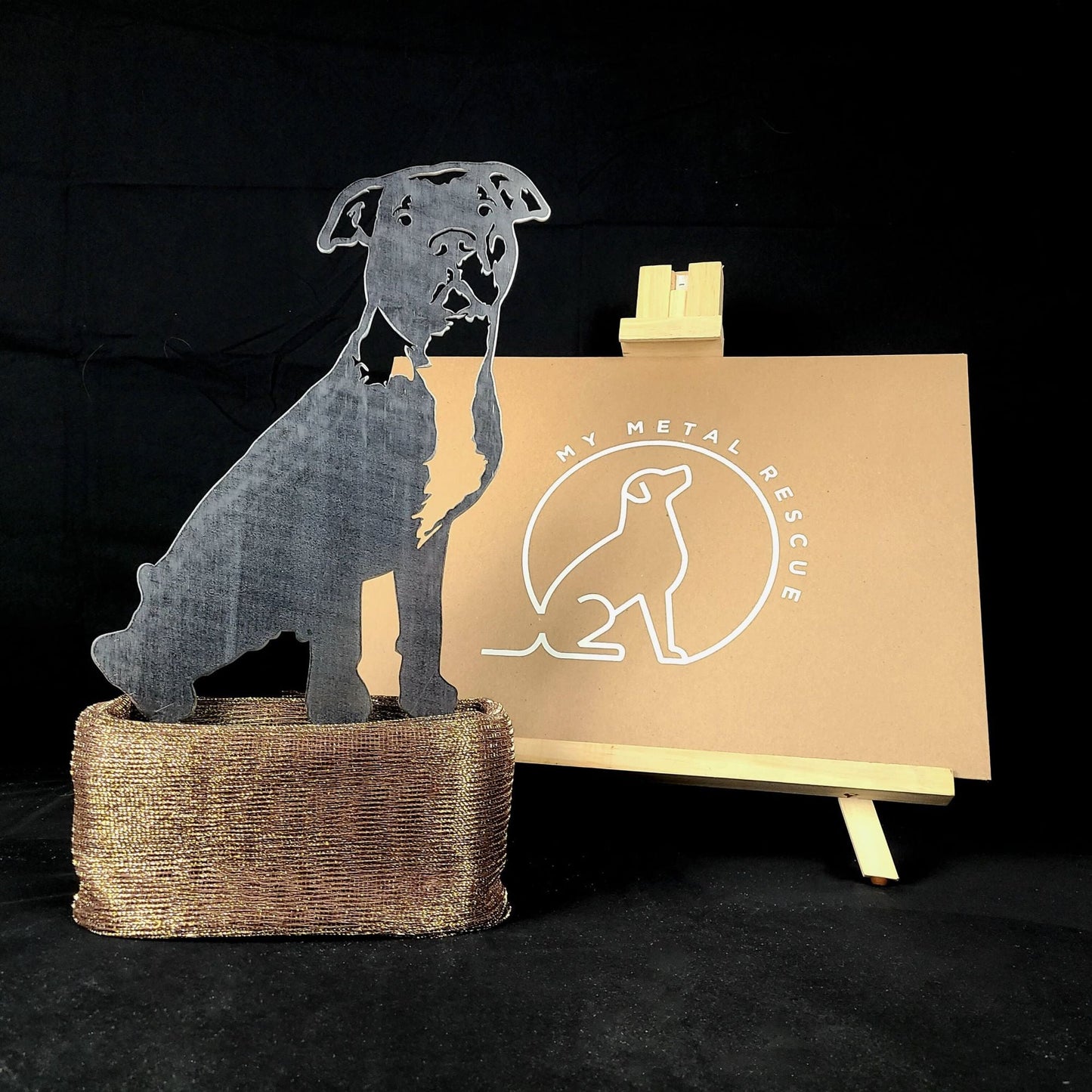 American Pit Bull Terrier