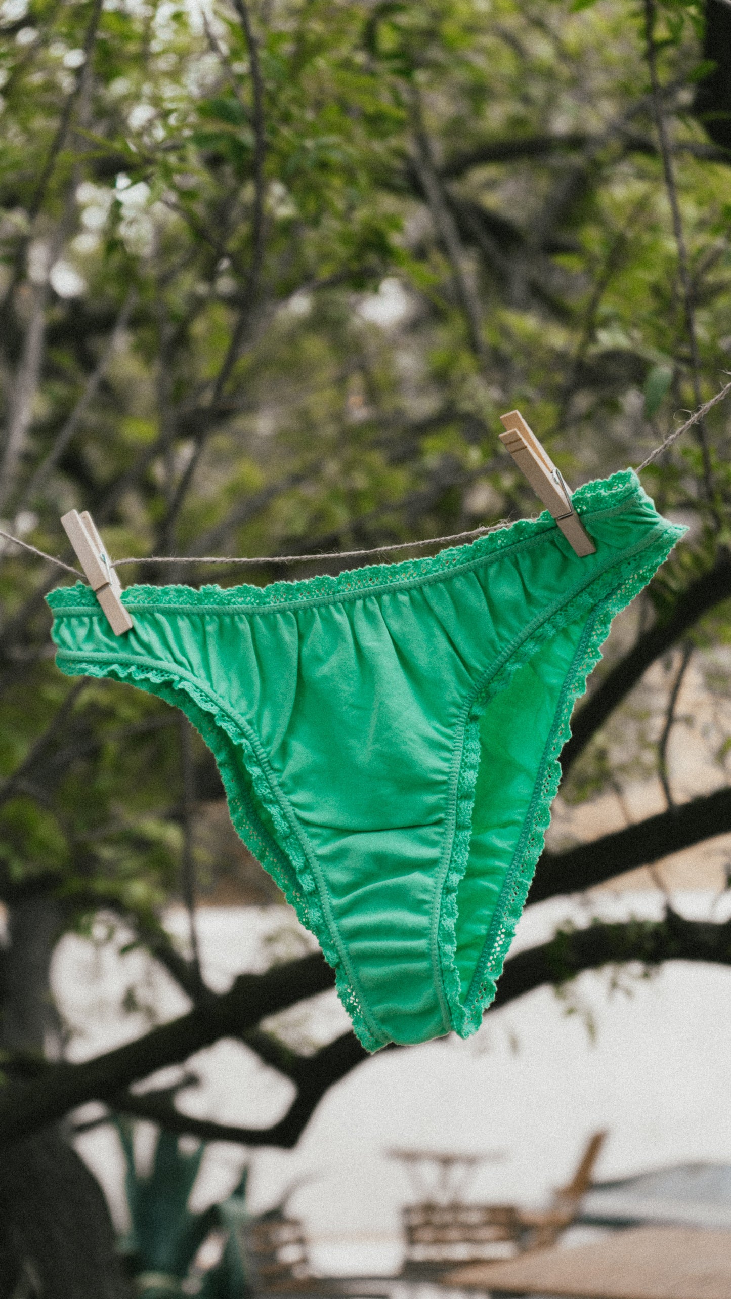 The neptune green frilly panties