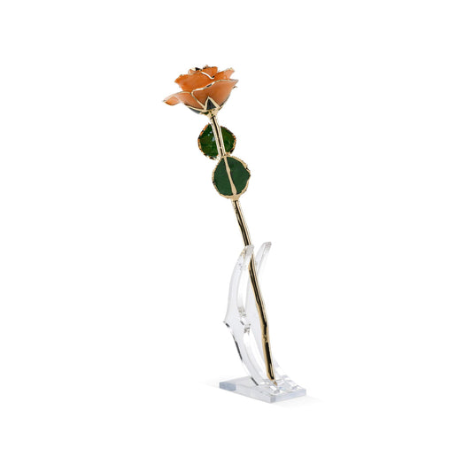 Timeless Rose (Pear) - Concordia Style Boutique