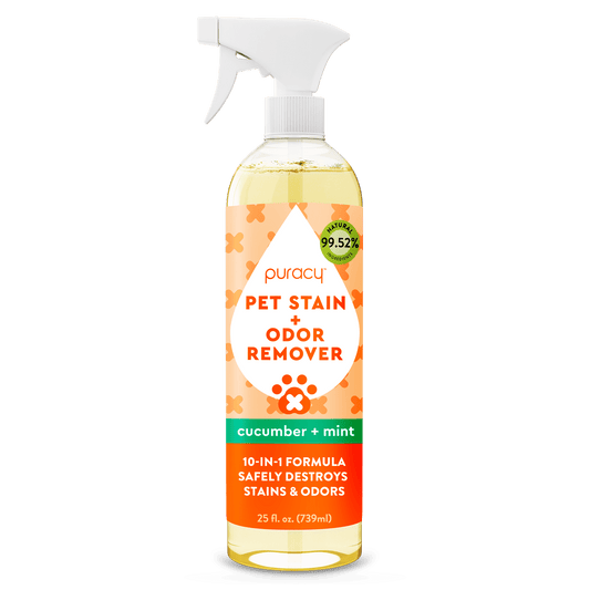 Pet Stain & Odor Remover - Concordia Style Boutique