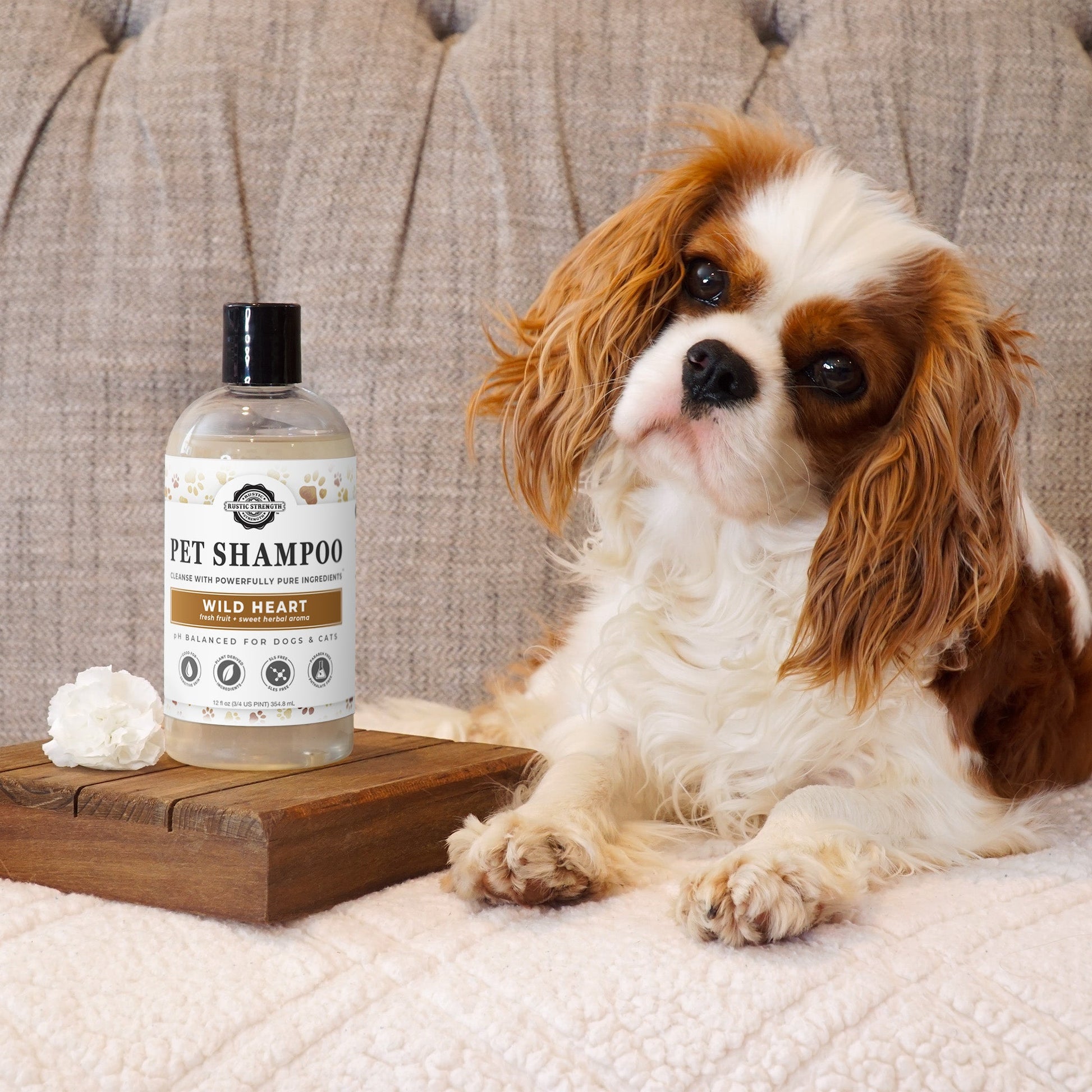 Pet Shampoo | Soothing & Deodorizing | Wild Heart - Concordia Style Boutique