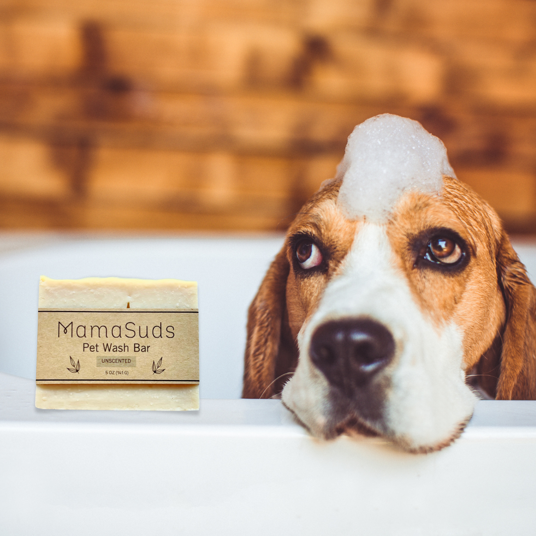 Pet Wash Bar Unscented - Concordia Style Boutique