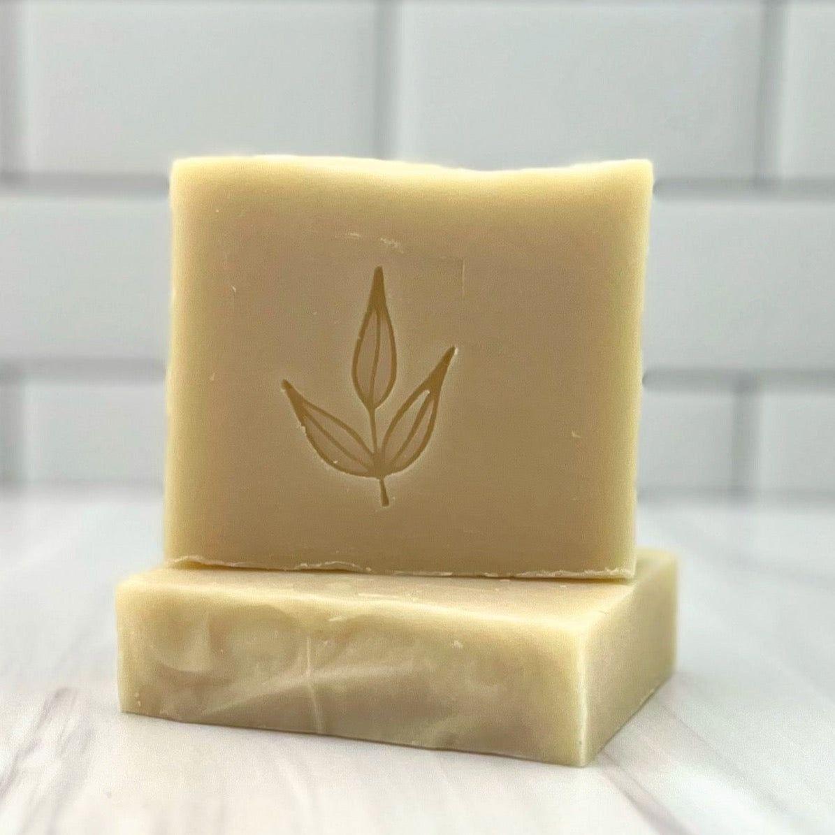 Pet Wash Bar Unscented - Concordia Style Boutique