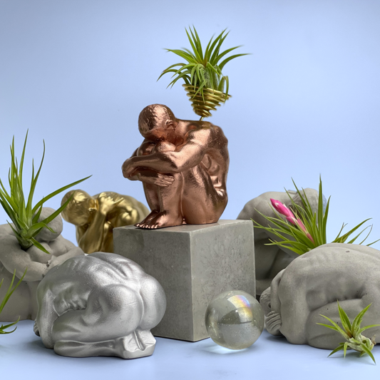MALE BODY AIR PLANT HOLDER - Concordia Style Boutique