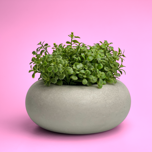 Perfect Succulent Planter - Concordia Style Boutique