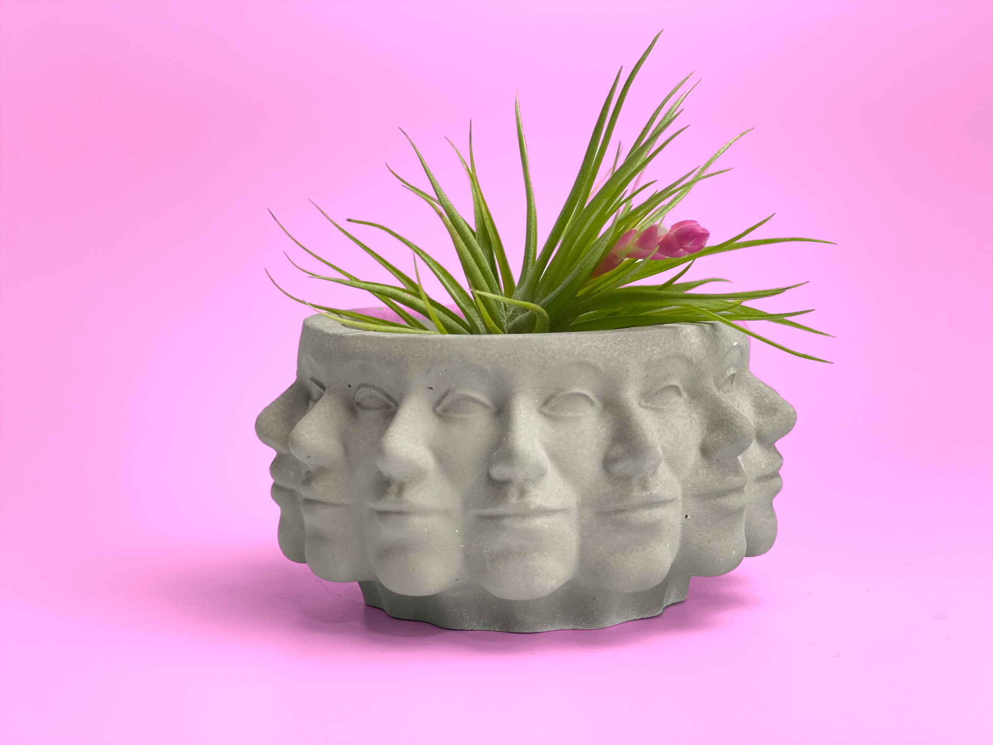 Multi Face Succulent Planter - Concordia Style Boutique