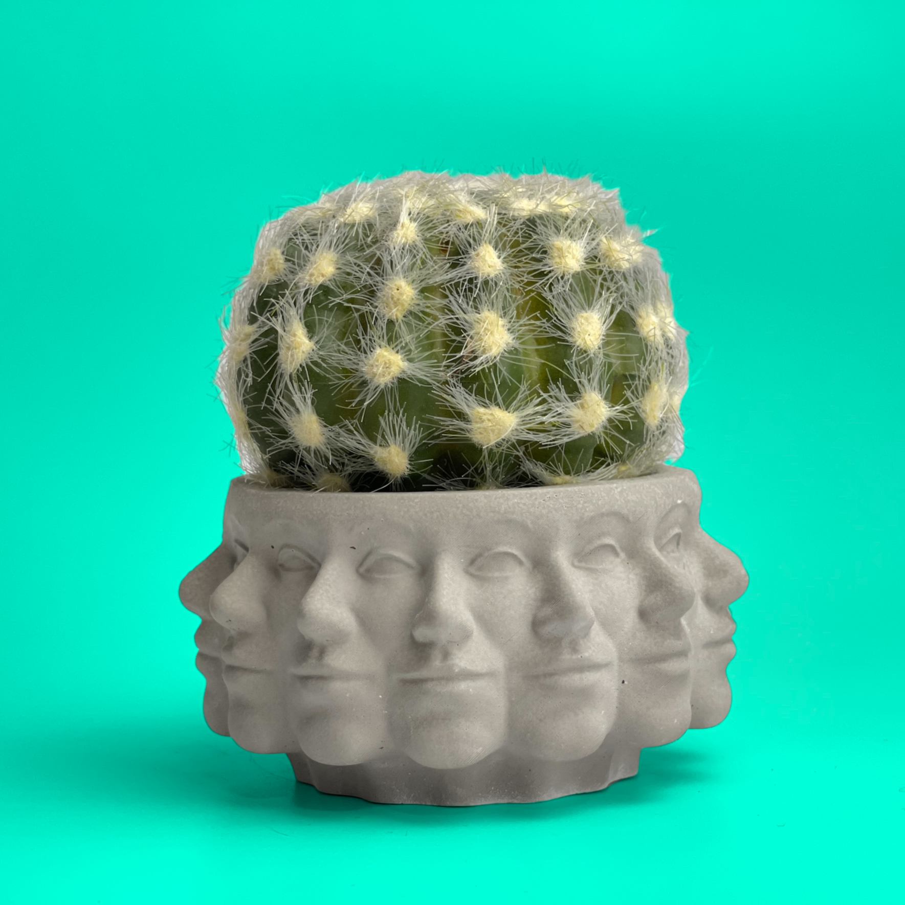 Multi Face Succulent Planter - Concordia Style Boutique