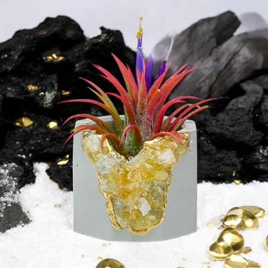 Raw CITRINE GEODE PLANTER - Concordia Style Boutique